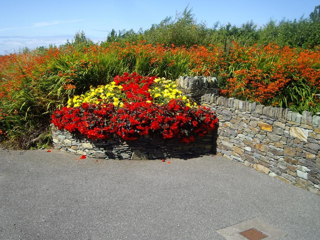 Ferryview B&B Cahersiveen Exterior foto